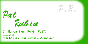 pal rubin business card